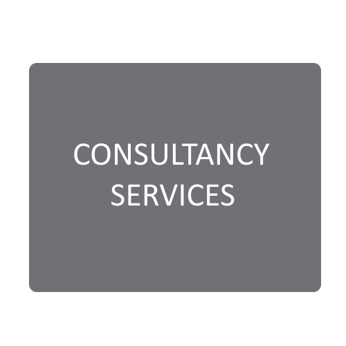 Consultancy Services