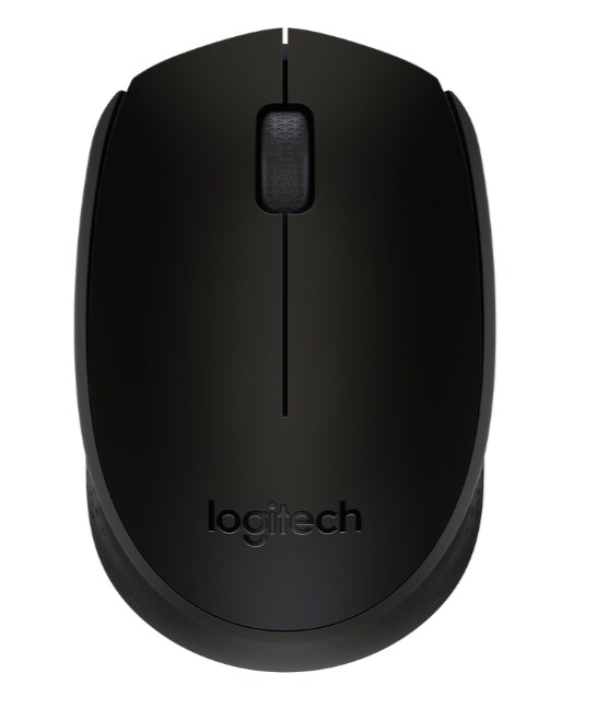 B170 Wireless Mouse - BLACK