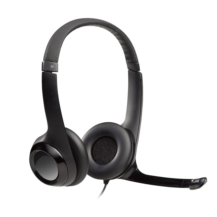 Logitech H390 USB-A Headset