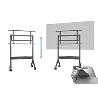M Motorized Collaboration Floorstand 65¨100¨ Plus*