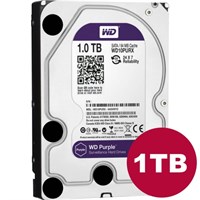 Western Digital 1TB Surveillance rated Hard drive - Purple / WD10PURX