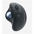 ERGO M575 for Business - GRAPHITE>