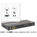 Auto-Switching HDMI, VGA and USB Extension System>